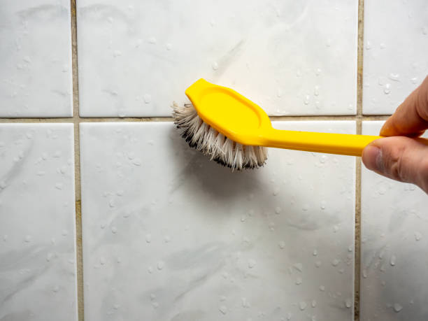 Best Commercial Mold Removal  in Greensburg, PA