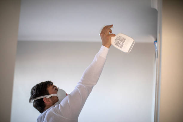 Best Fast Mold Removal  in Greensburg, PA