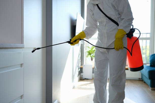 Best Office Mold Removal Services  in Greensburg, PA
